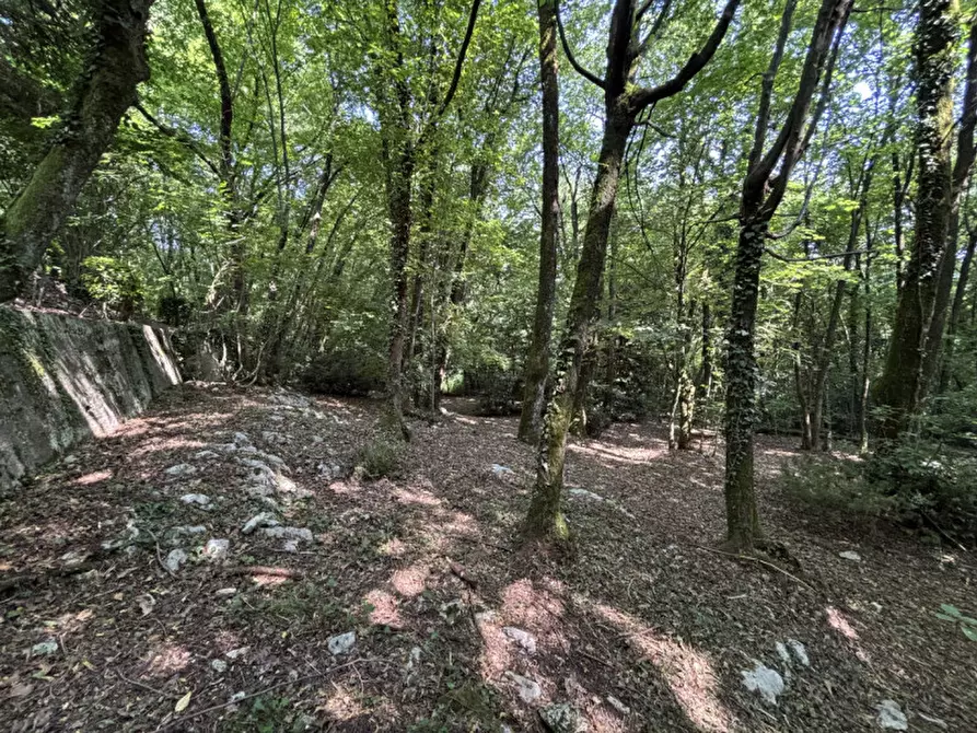 Immagine 18 di Villa in vendita  in Via Priare a Zovencedo
