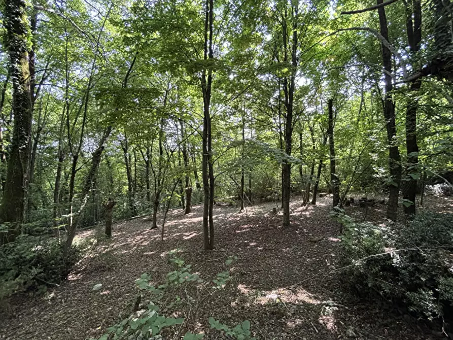 Immagine 19 di Villa in vendita  in Via Priare a Zovencedo