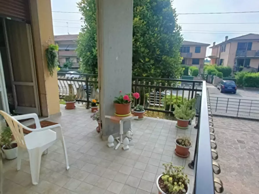 Immagine 9 di Casa bifamiliare in vendita  in Via Imperiale superiore a Brescello