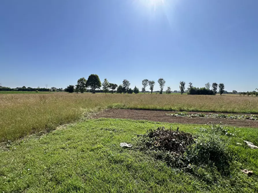 Immagine 4 di Casa bifamiliare in vendita  in via Sa a Teolo