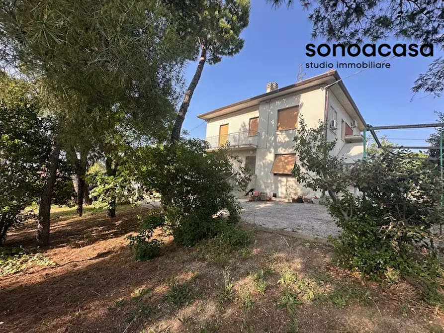 Immagine 4 di Casa bifamiliare in vendita  in Strada per Sant'angelo 113 a Senigallia