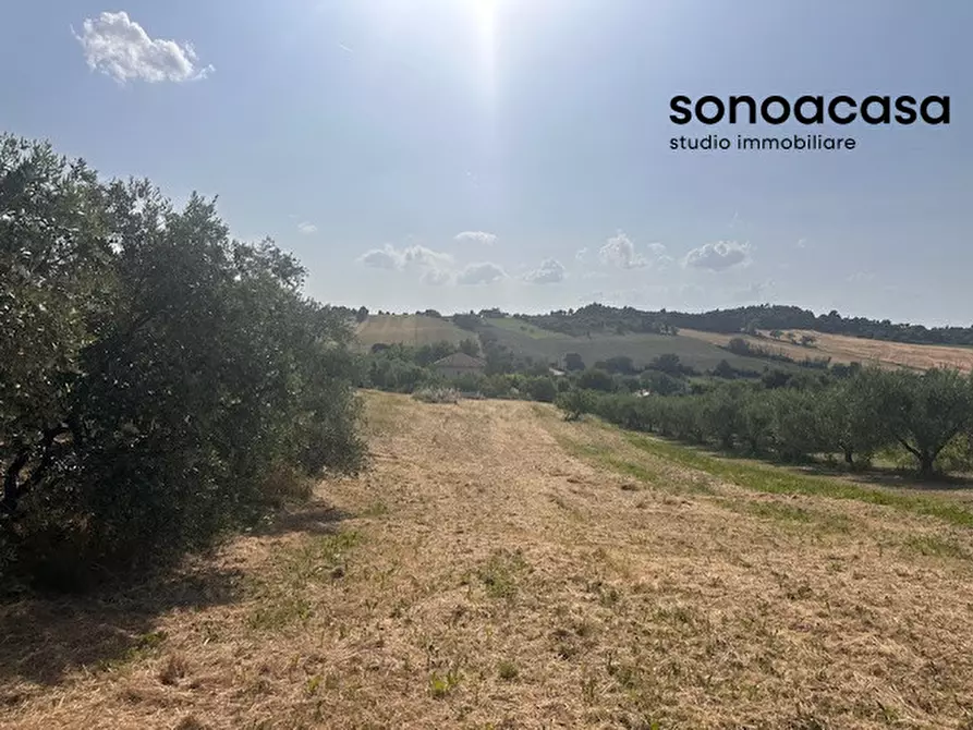 Immagine 38 di Casa bifamiliare in vendita  in Strada per Sant'angelo 113 a Senigallia