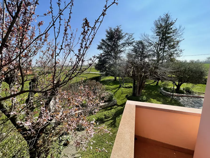 Immagine 33 di Villa in vendita  a Gonzaga