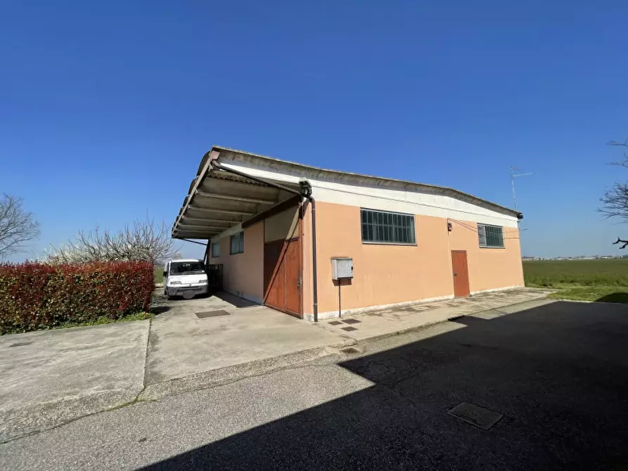 Immagine 43 di Villa in vendita  a Gonzaga