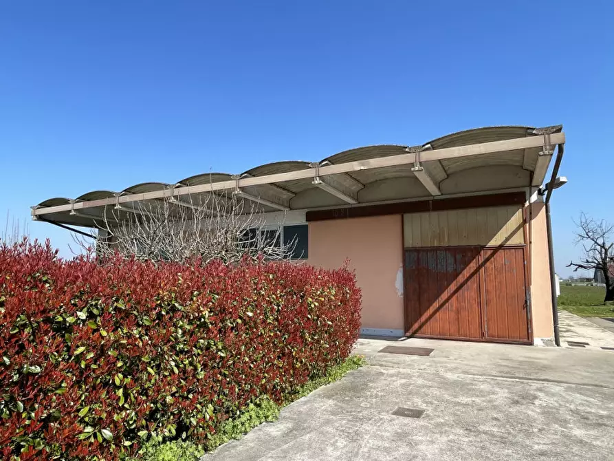 Immagine 44 di Villa in vendita  a Gonzaga