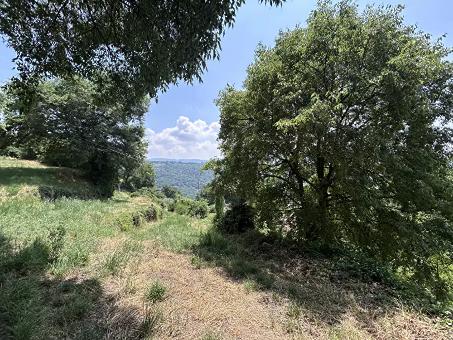 Immagine 3 di Terreno in vendita  a Caprino Veronese