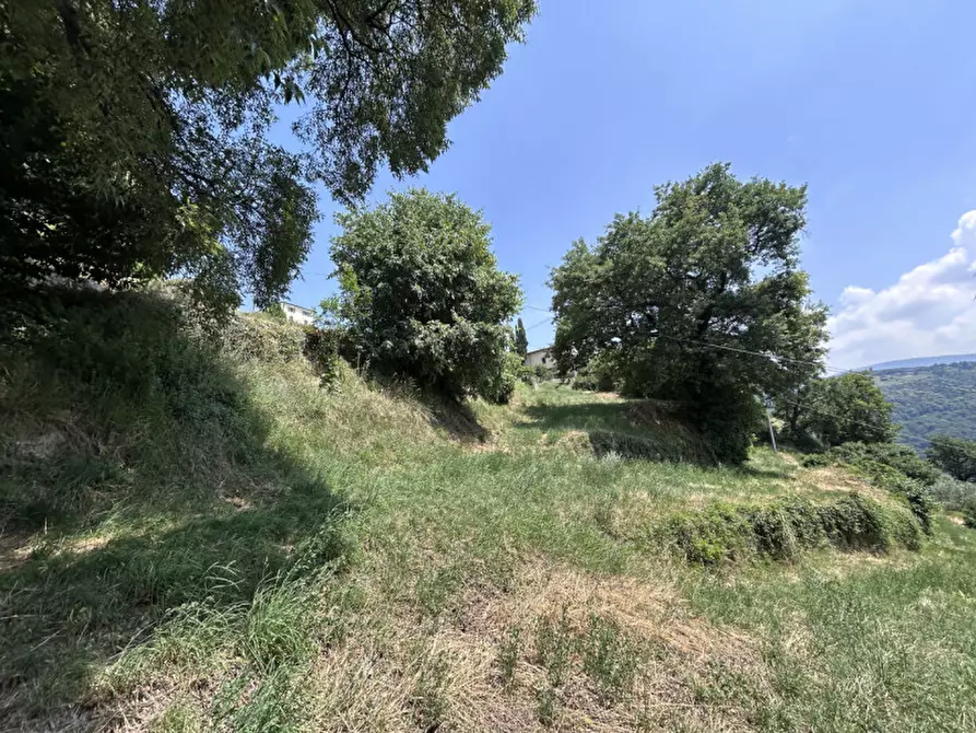 Immagine 4 di Terreno in vendita  a Caprino Veronese