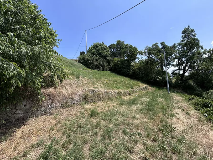 Immagine 9 di Terreno in vendita  a Caprino Veronese