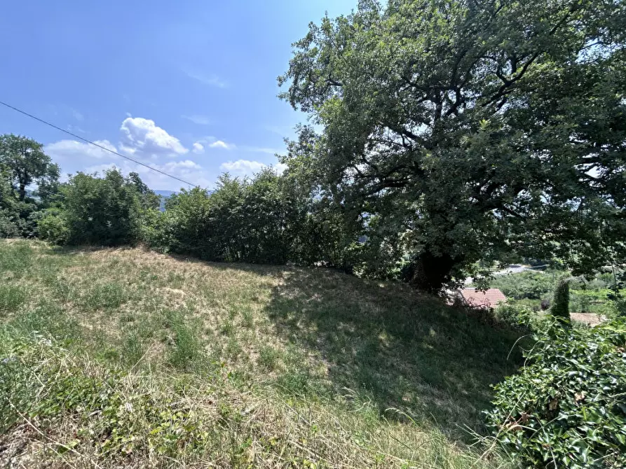 Immagine 10 di Terreno in vendita  a Caprino Veronese