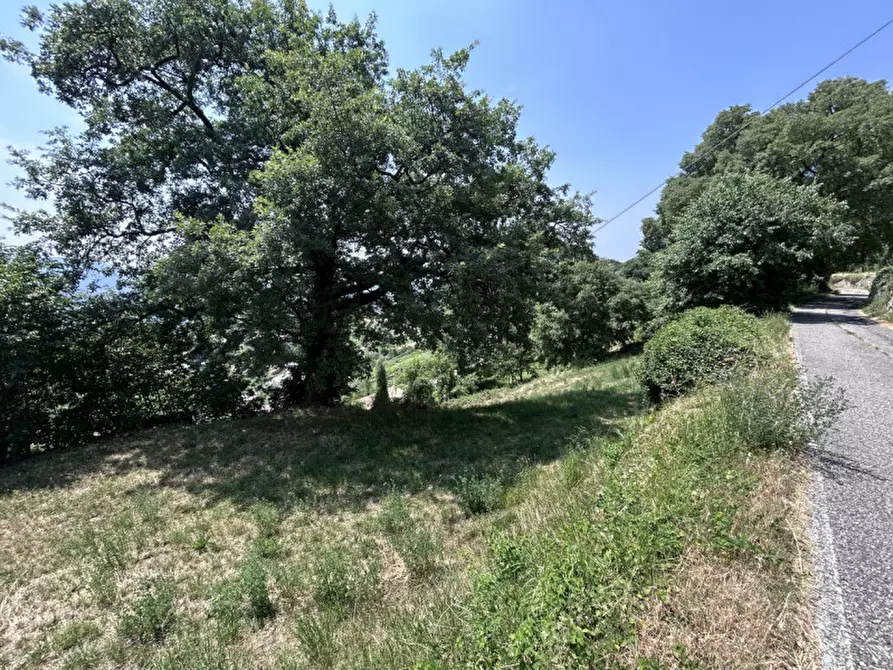 Immagine 12 di Terreno in vendita  a Caprino Veronese