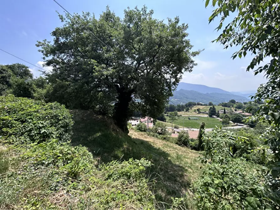 Immagine 13 di Terreno in vendita  a Caprino Veronese