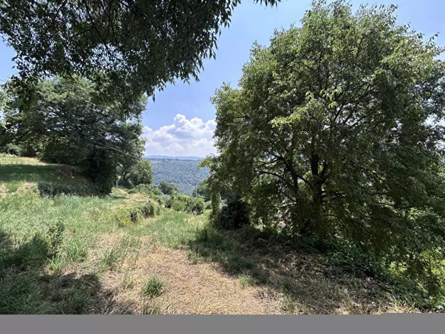 Immagine 15 di Terreno in vendita  a Caprino Veronese
