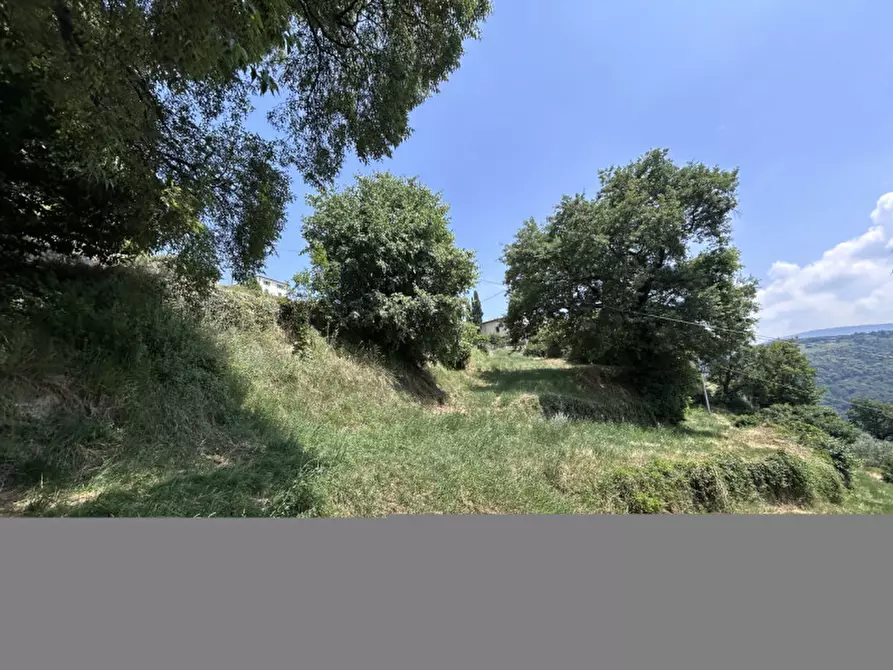 Immagine 16 di Terreno in vendita  a Caprino Veronese