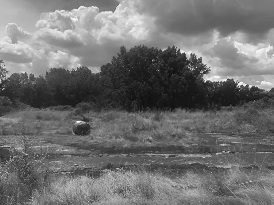 Immagine 5 di Terreno in vendita  in Via Provinciale 4 Volterrana a Castelfiorentino