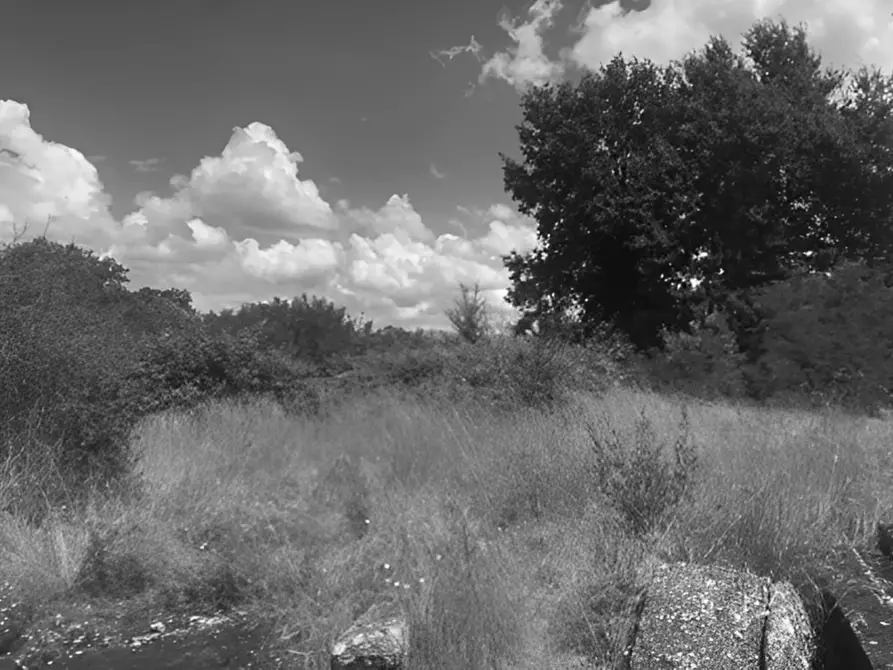 Immagine 6 di Terreno in vendita  in Via Provinciale 4 Volterrana a Castelfiorentino