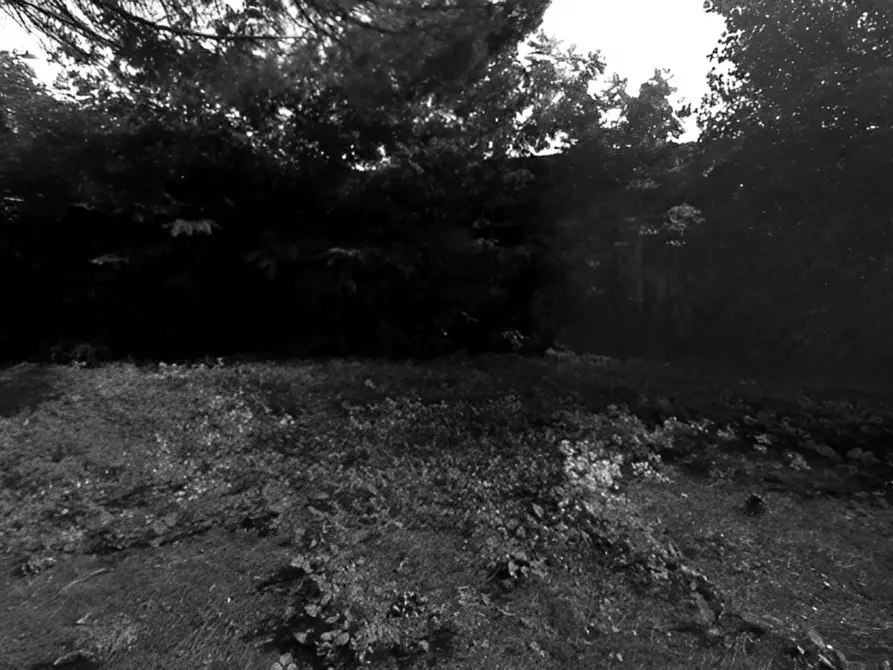 Immagine 7 di Terreno in vendita  in Via Provinciale 4 Volterrana a Castelfiorentino