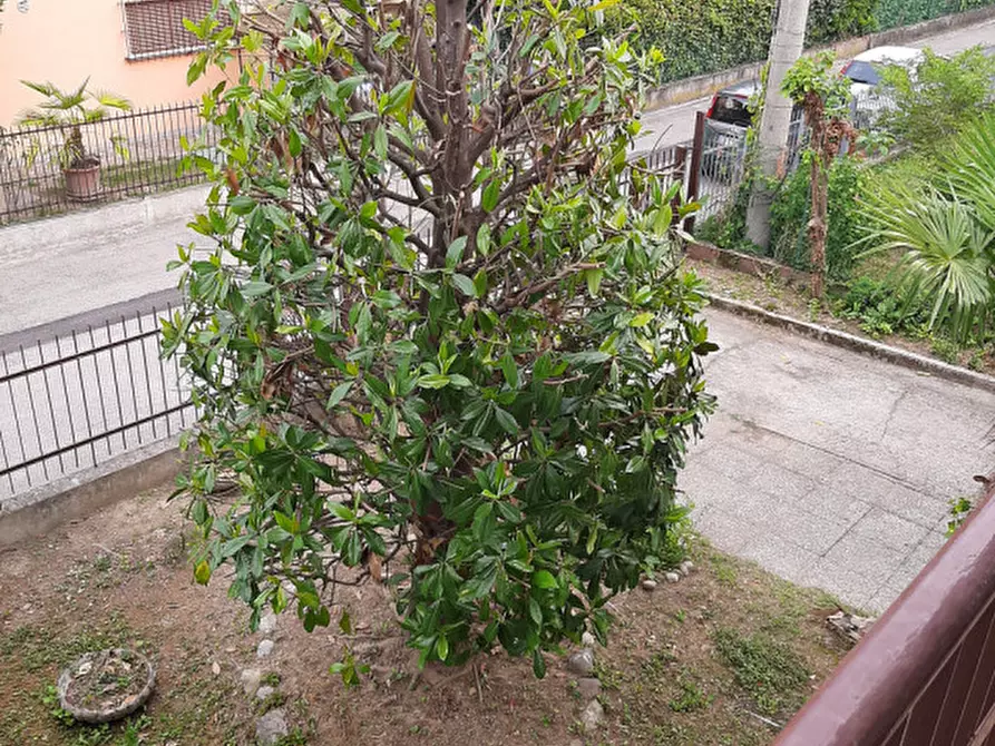 Immagine 41 di Casa bifamiliare in vendita  in Via Pietro Pinton a Padova