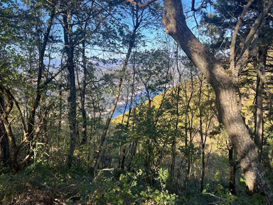 Immagine 71 di Rustico / casale in vendita  in località stagno poggio, 12 a Camugnano