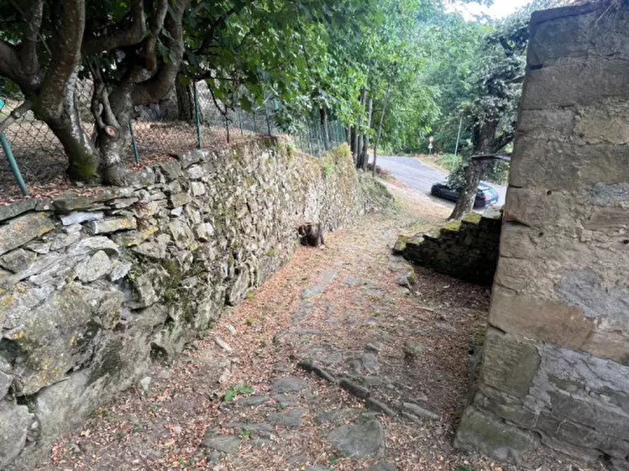 Immagine 76 di Rustico / casale in vendita  in località stagno poggio, 12 a Camugnano