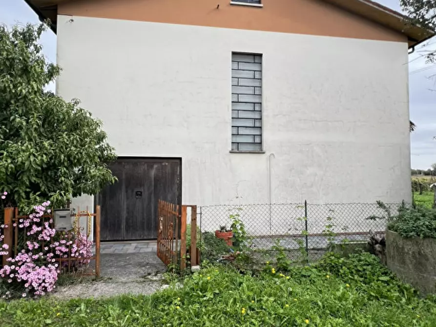 Immagine 3 di Casa indipendente in vendita  in via palù inferiore 25 a Pernumia