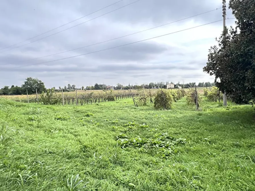 Immagine 4 di Casa indipendente in vendita  in via palù inferiore 25 a Pernumia