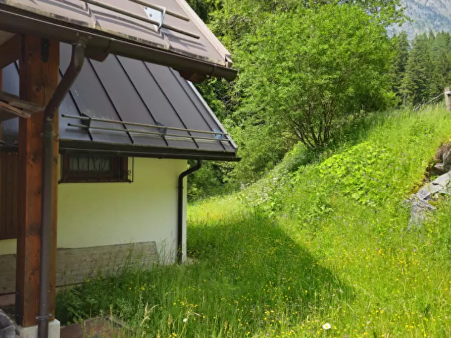 Immagine 38 di Casa indipendente in vendita  in Via Rifugio Marinelli a Forni Avoltri