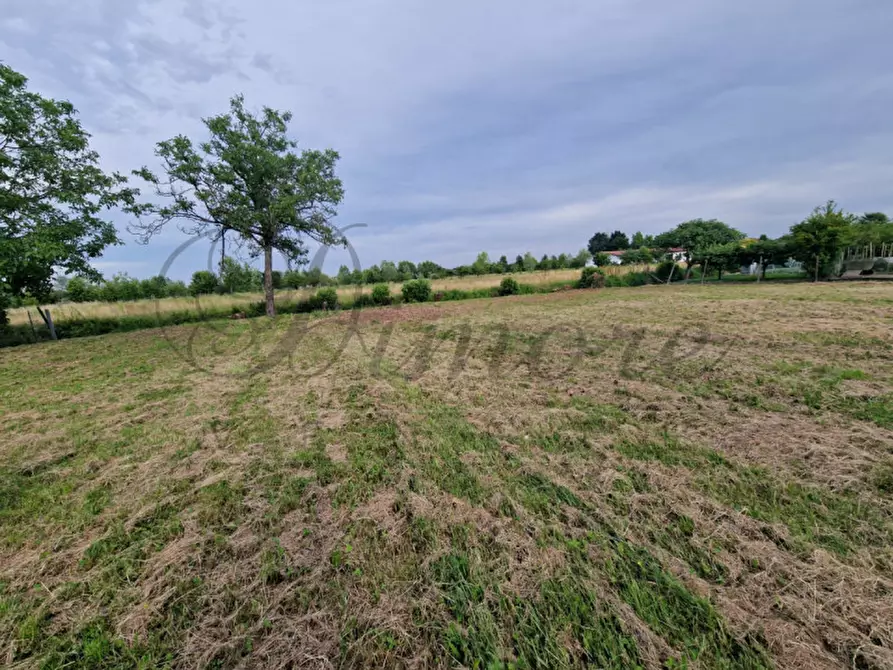 Immagine 4 di Casa indipendente in vendita  in via noalese a Pianiga