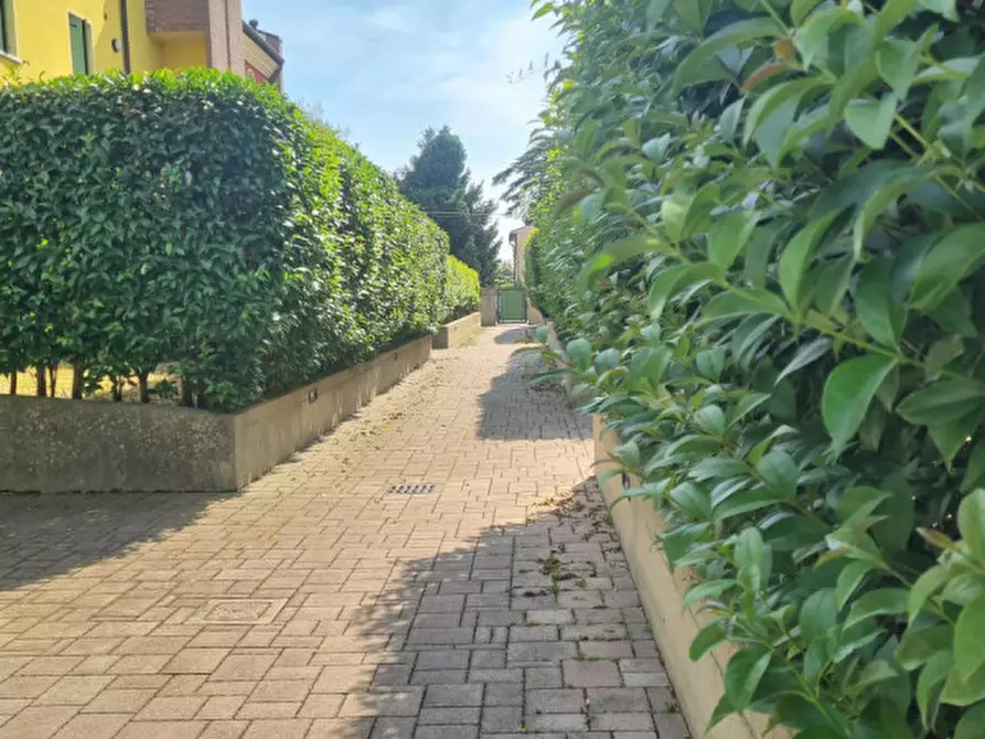 Immagine 33 di Appartamento in vendita  in Via Deserto a Este