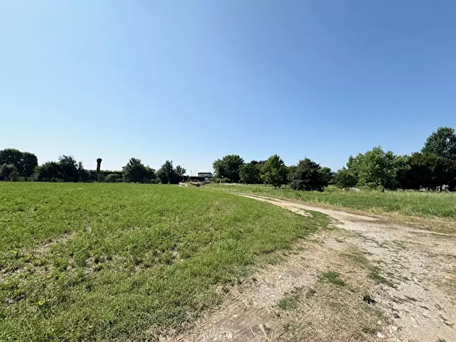 Immagine 1 di Terreno in vendita  a Saccolongo