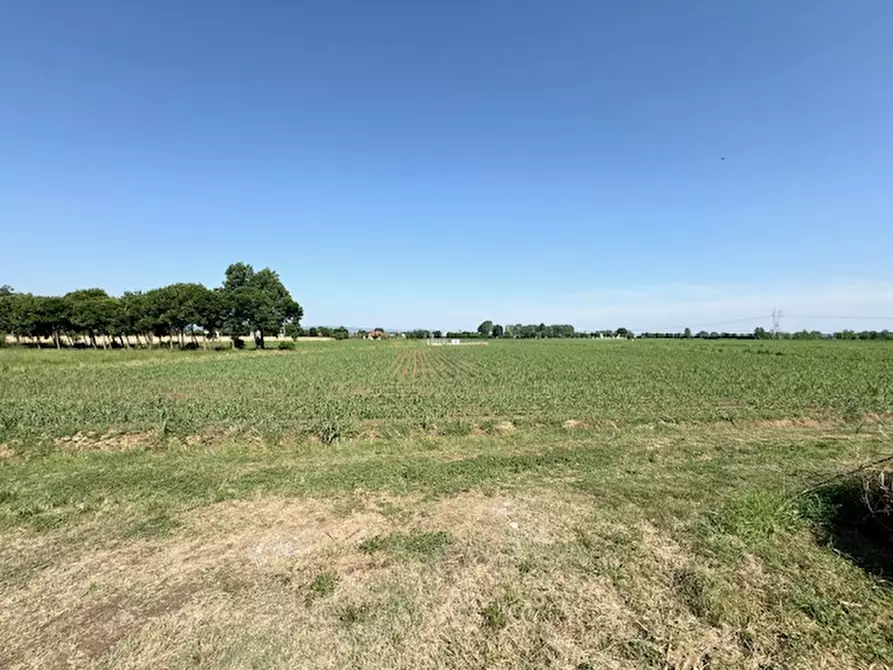 Immagine 2 di Terreno in vendita  a Saccolongo