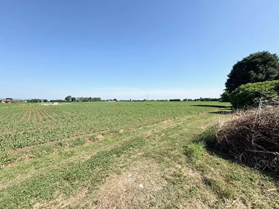 Immagine 3 di Terreno in vendita  a Saccolongo