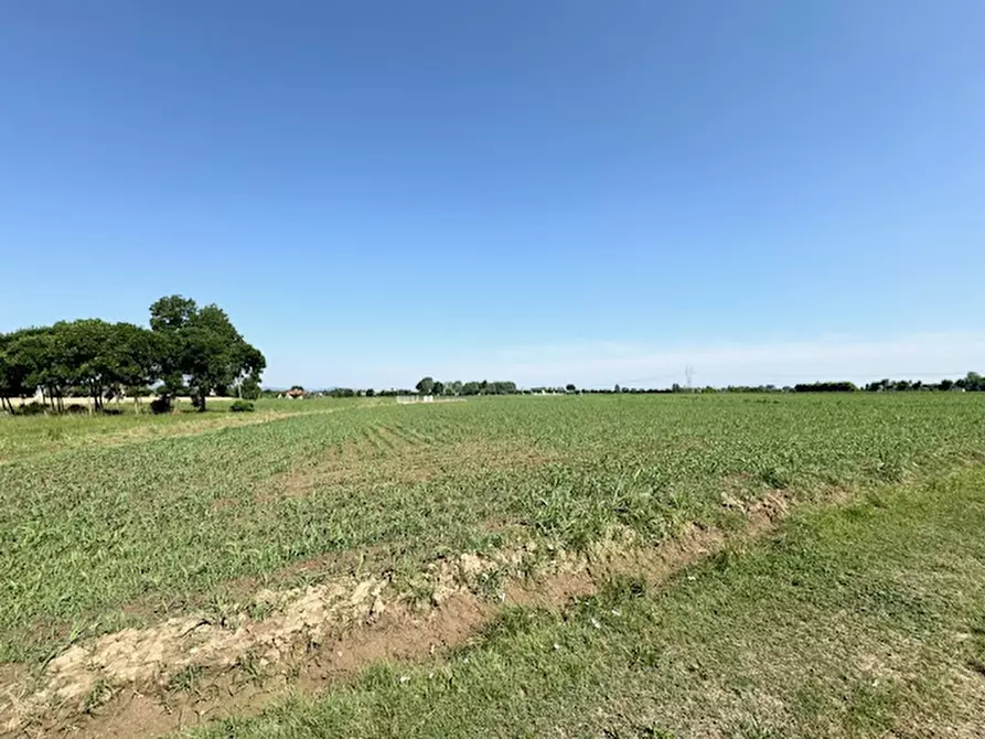 Immagine 4 di Terreno in vendita  a Saccolongo
