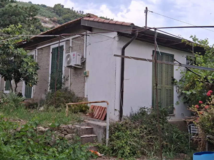 Immagine 3 di Terreno in vendita  in Via Roma a Vallecrosia