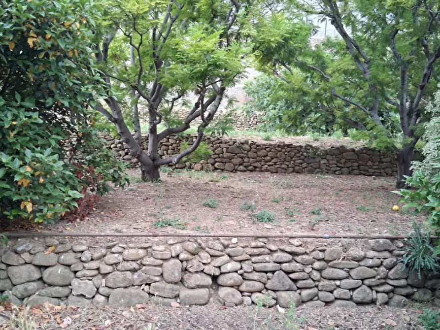 Immagine 6 di Terreno in vendita  in Via Roma a Vallecrosia
