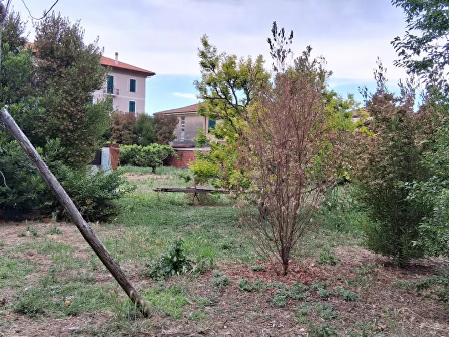 Immagine 13 di Terreno in vendita  in Via Roma a Vallecrosia