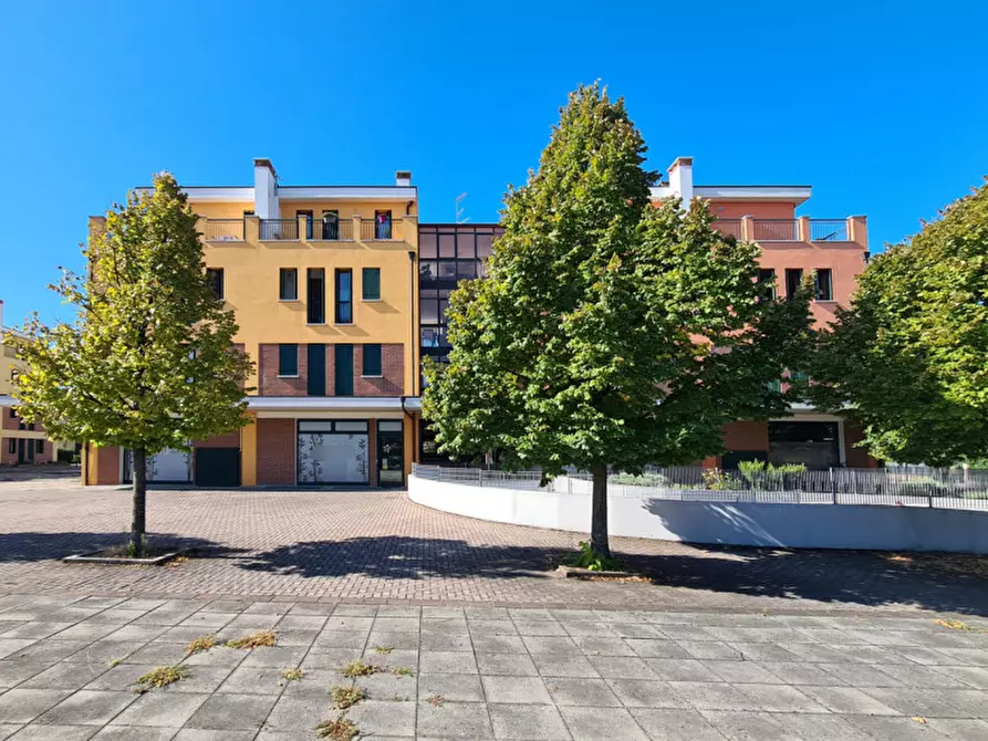 Immagine 4 di Negozio in vendita  in VIA EZIO FRANCESCHINI a Este