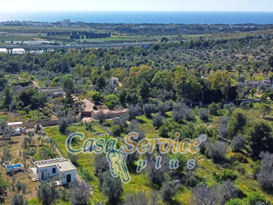 Immagine 3 di Villa in vendita  in Contrada Santa Teresa a Sannicola