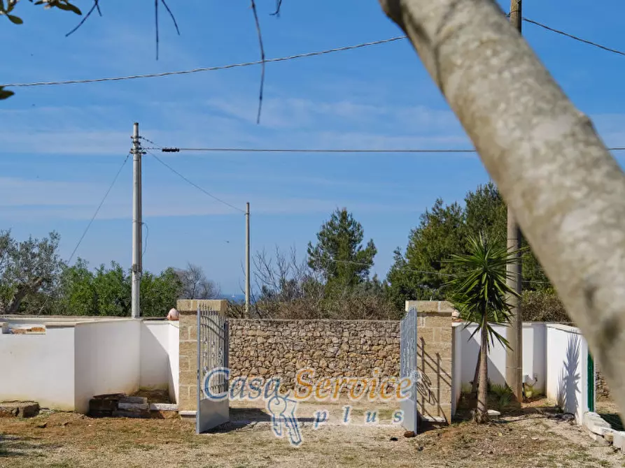 Immagine 4 di Villa in vendita  in Contrada Santa Teresa a Sannicola