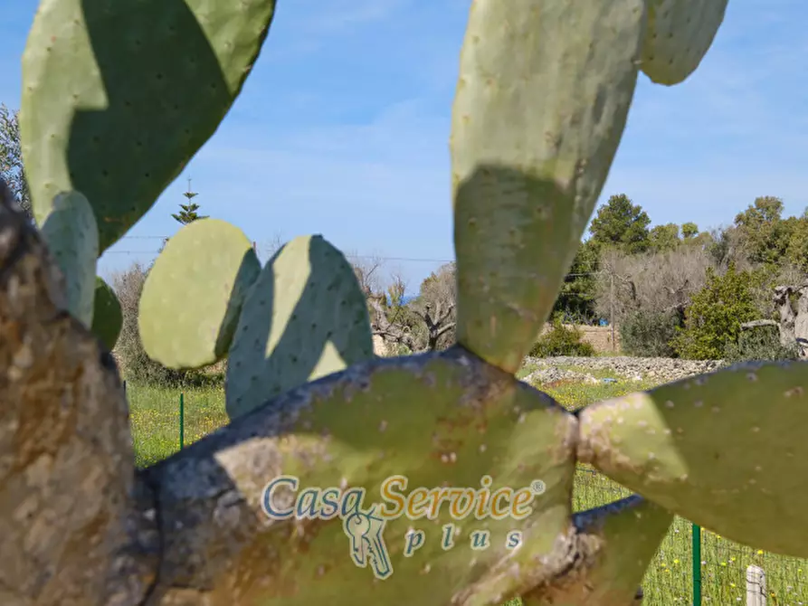 Immagine 5 di Villa in vendita  in Contrada Santa Teresa a Sannicola