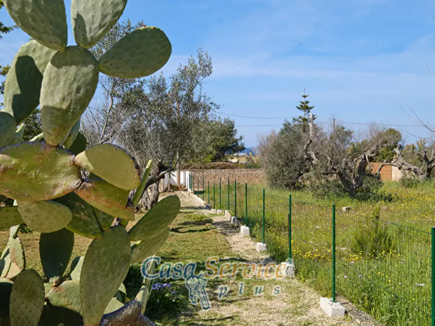 Immagine 6 di Villa in vendita  in Contrada Santa Teresa a Sannicola