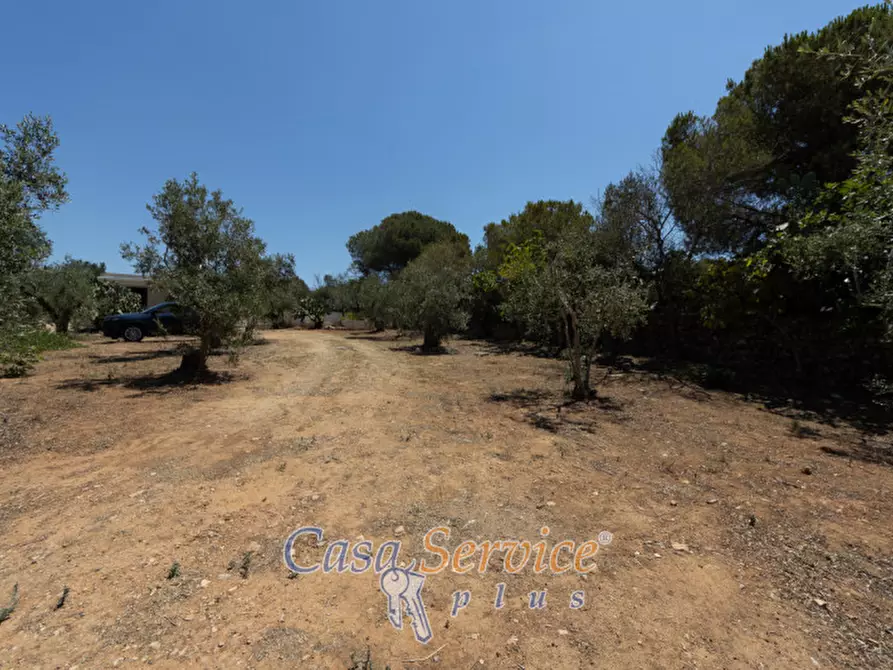 Immagine 25 di Villa in vendita  in Contrada Santa Teresa a Sannicola