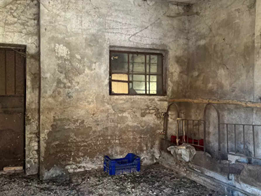 Immagine 16 di Rustico / casale in vendita  in Strada di Frara , 34 a Parma