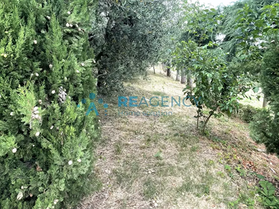 Immagine 18 di Casa indipendente in vendita  in Via Pugnello a Arzignano