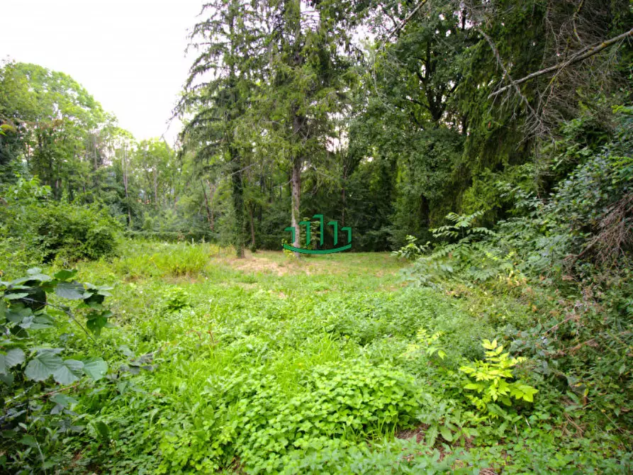 Immagine 9 di Rustico / casale in vendita  in Via Schwaitzer a Monte San Pietro