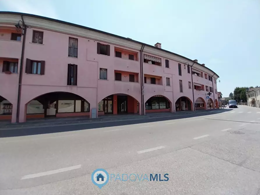 Immagine 8 di Negozio in vendita  in Via Castello, 14A a Pernumia