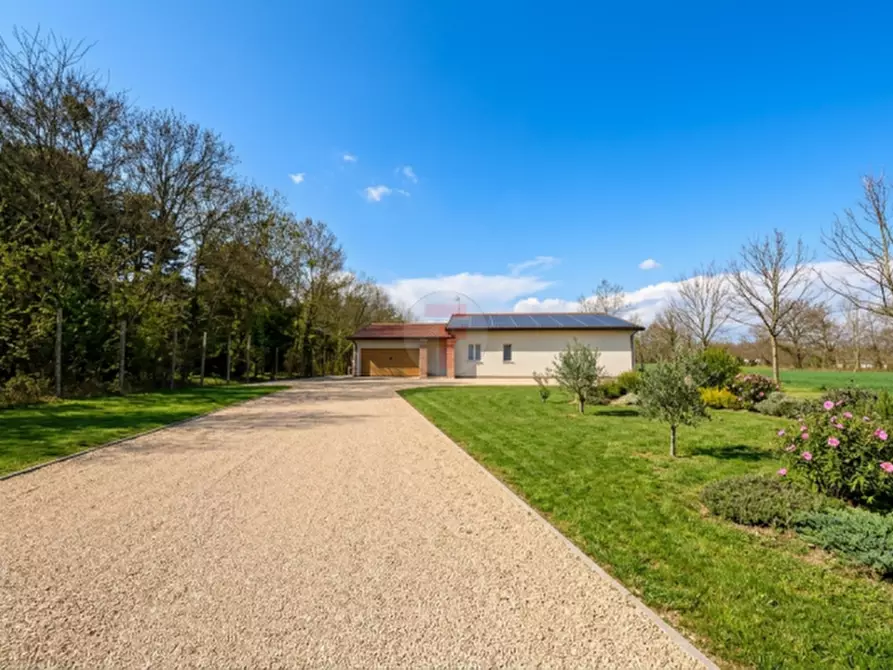 Immagine 1 di Villa in vendita  in Via 2 Giugno a Legnaro