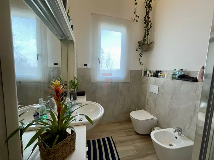 Immagine 12 di Villa in vendita  in Via 2 Giugno a Legnaro