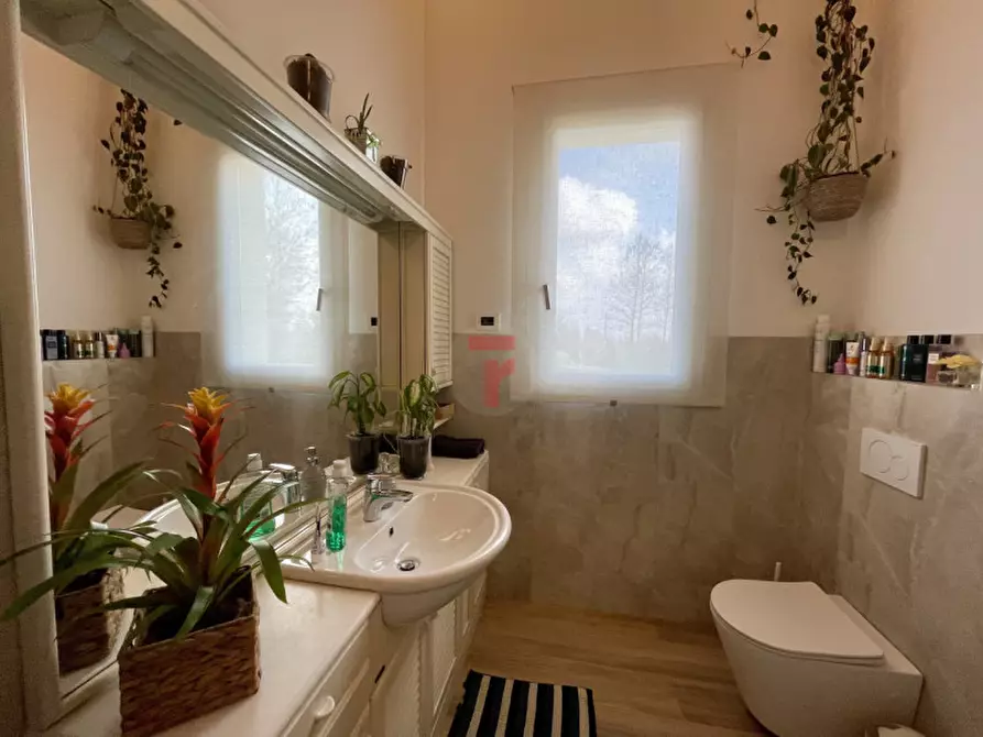Immagine 13 di Villa in vendita  in Via 2 Giugno a Legnaro