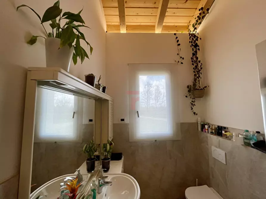 Immagine 26 di Villa in vendita  in Via 2 Giugno a Legnaro