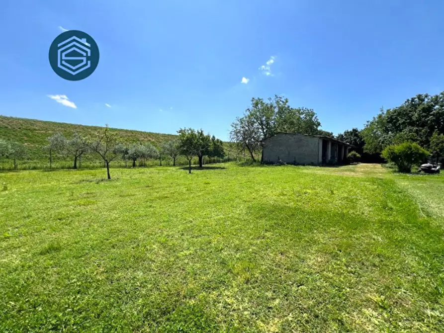 Immagine 1 di Rustico / casale in vendita  in via torricella 125 a Campi Bisenzio